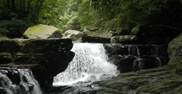 台灣森林旅遊景點 台灣森林旅遊景點
