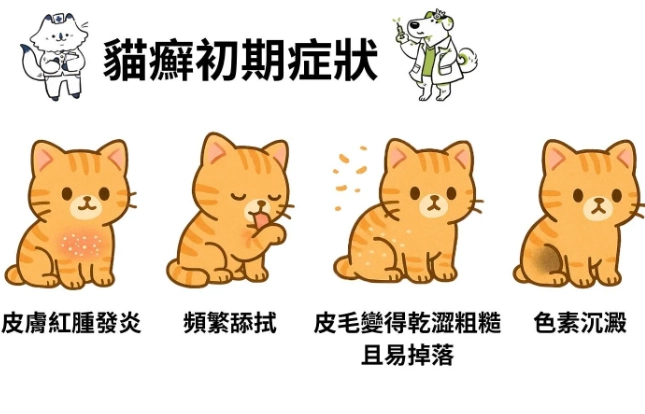 貓癬治療方法 貓癬治療方法