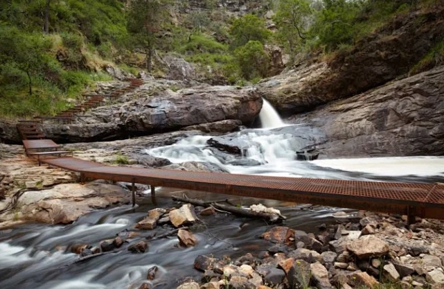 森林遊樂區與國家公園比較 森林遊樂區與國家公園比較
