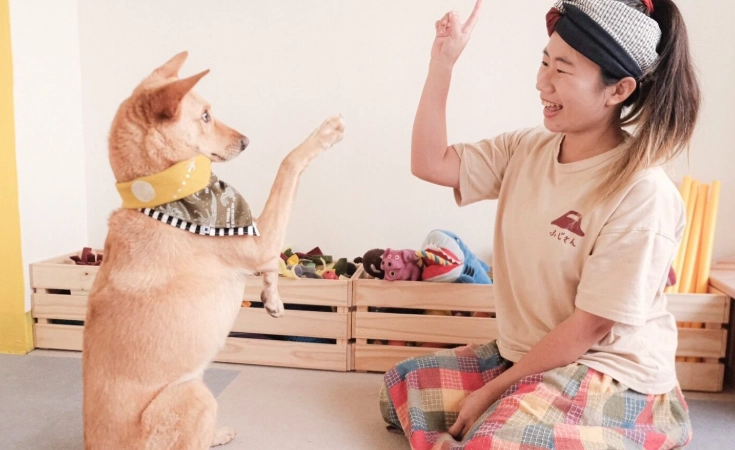 寵物狗預算 寵物狗預算