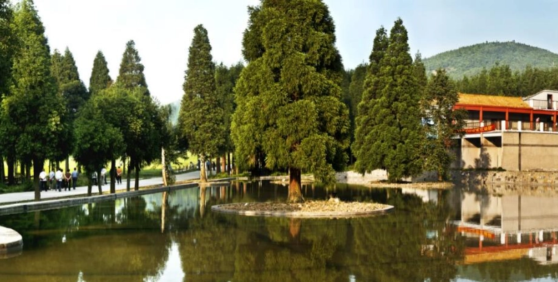 台灣森林遊樂區介紹 台灣森林遊樂區介紹