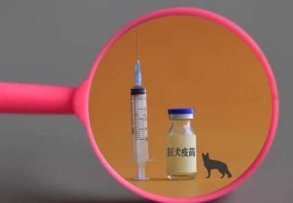 疫苗加強針時機 疫苗加強針時機