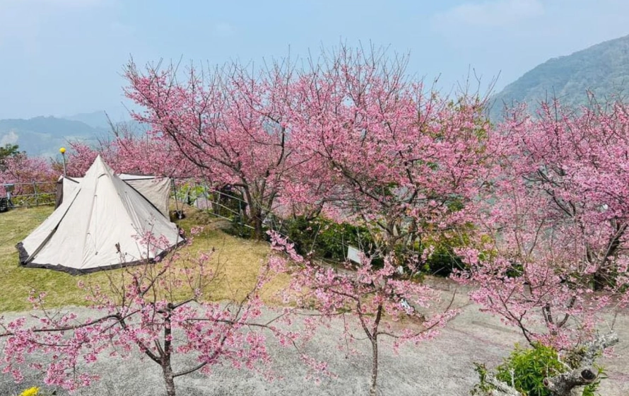 賞櫻露營推薦