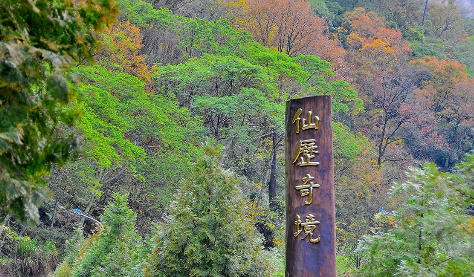 森林遊樂區推薦 森林遊樂區推薦