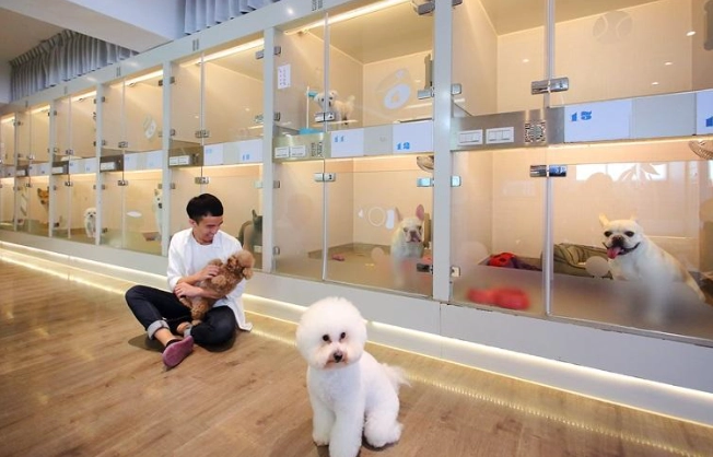 寵物寄宿家庭比較 寵物寄宿家庭比較