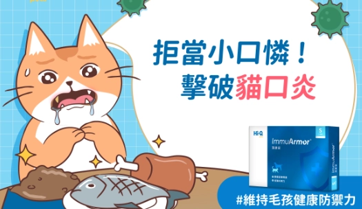 貓咪細菌風險 貓咪細菌風險