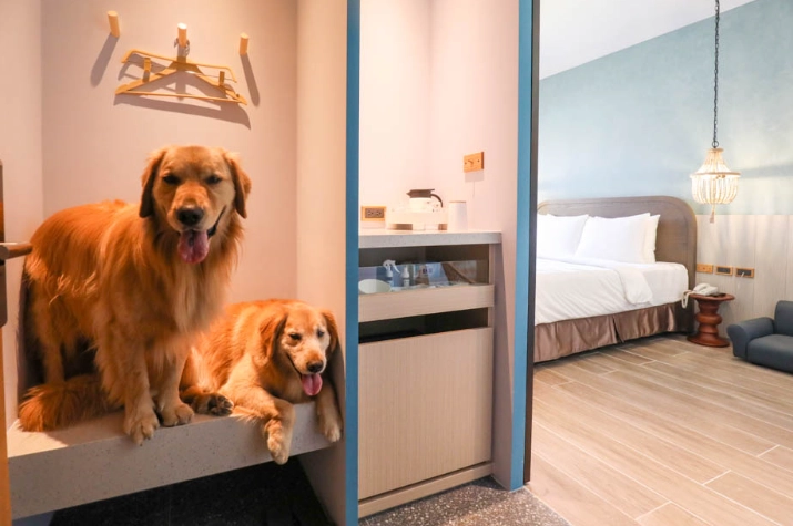 五星級寵物住宿 五星級寵物住宿