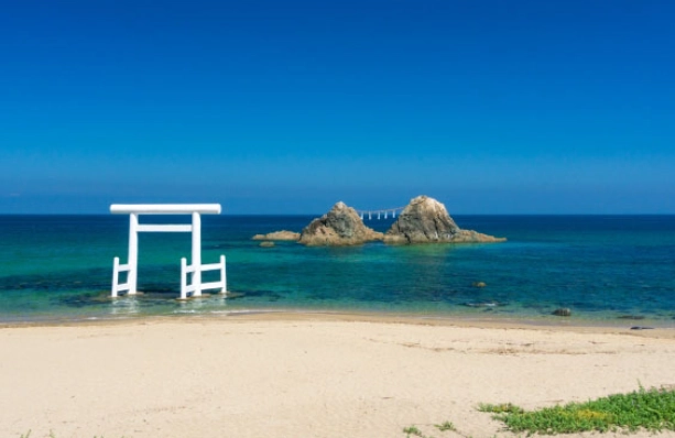 系島溫泉交通 系島溫泉交通