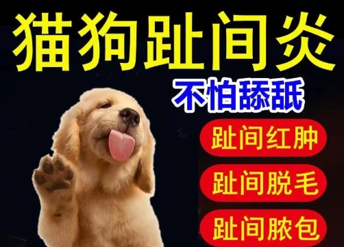 趾間炎治療藥膏 趾間炎治療藥膏