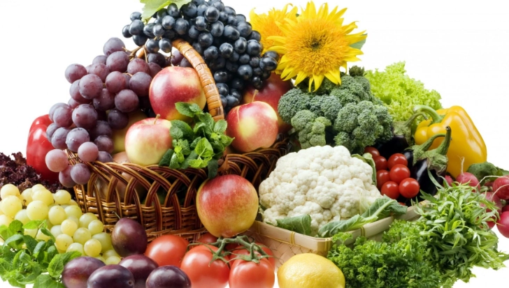 裂紋山烏龜 保育 裂紋山烏龜 保育