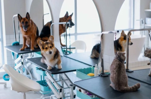 台灣寵物旅館申請