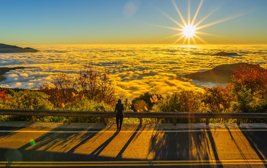國家森林遊樂區介紹 國家森林遊樂區介紹