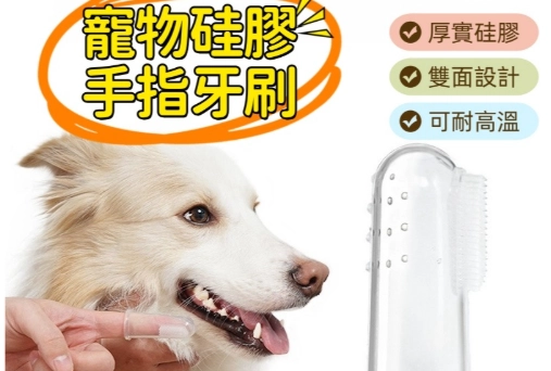 寵物洗牙價格 寵物洗牙價格