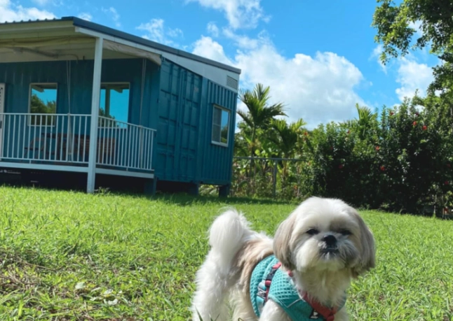 新竹寵物旅館價格