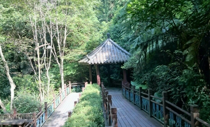 櫻花季旅遊 櫻花季旅遊