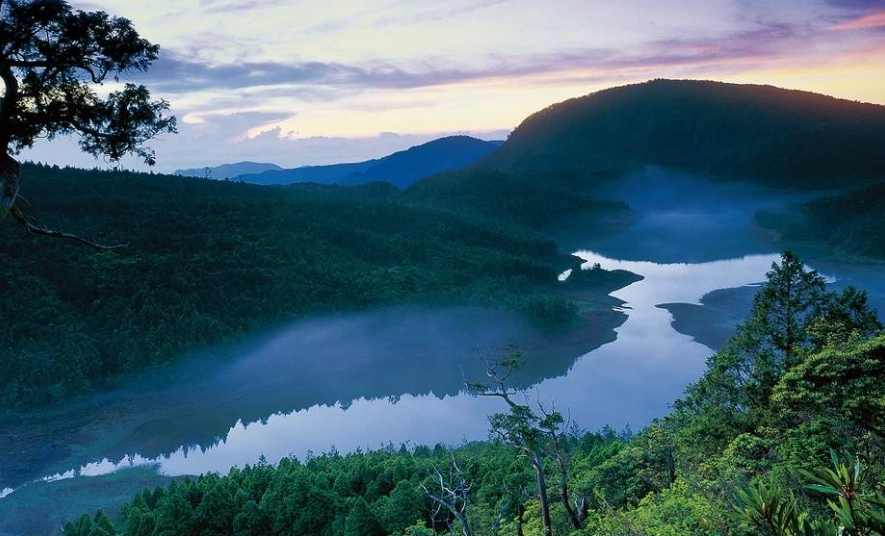 國家森林遊樂區數量 國家森林遊樂區數量