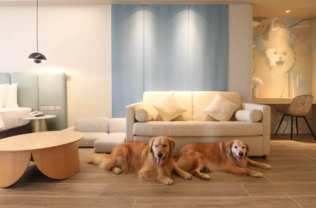 帶寵物住宿高雄 帶寵物住宿高雄