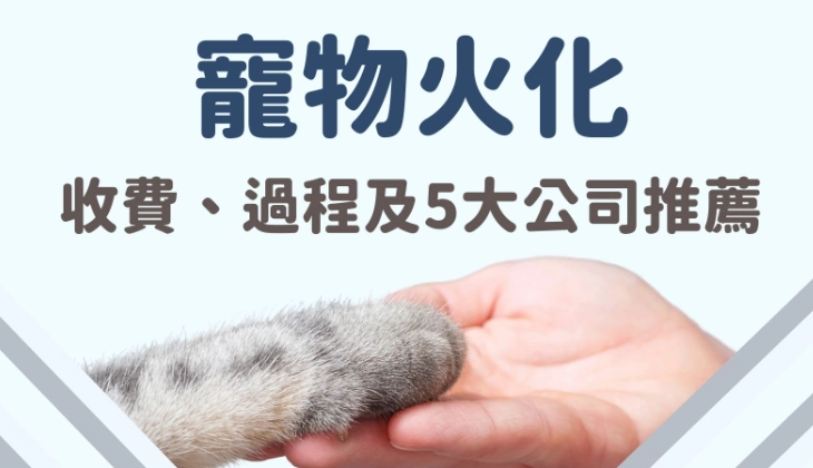 寵物洗牙價格 寵物洗牙價格