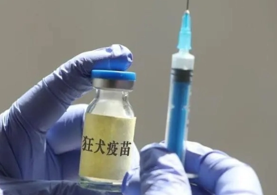 疫苗副作用處理 疫苗副作用處理