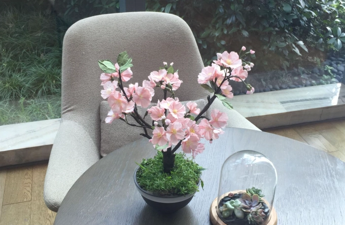 櫻花大道交通 櫻花大道交通