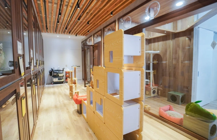 新竹寵物住宿 新竹寵物住宿