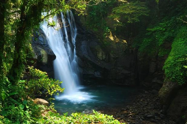 台灣森林旅遊景點 台灣森林旅遊景點