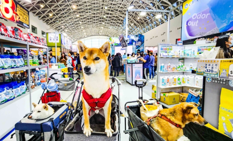 台灣寵物展覽 台灣寵物展覽