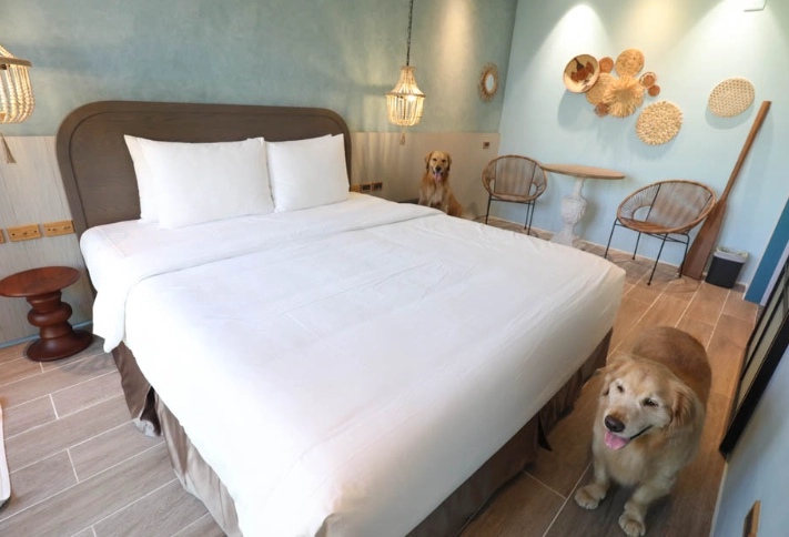 寵物友善飯店台灣 寵物友善飯店台灣