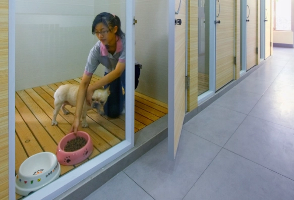 寵物寄宿家庭推薦 寵物寄宿家庭推薦