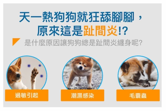寵物皮膚炎藥膏 寵物皮膚炎藥膏