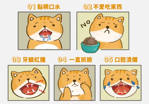 貓口水感染 貓口水感染