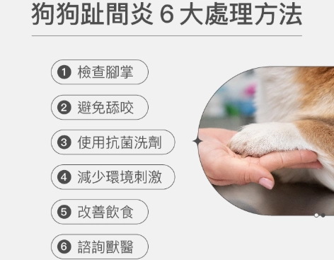 狗狗腳部護理 狗狗腳部護理