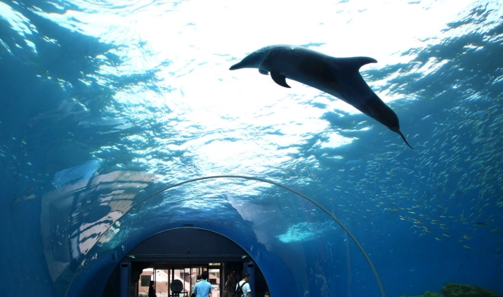 八景島水族館 介紹