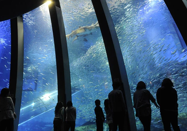 八景島水族館 介紹