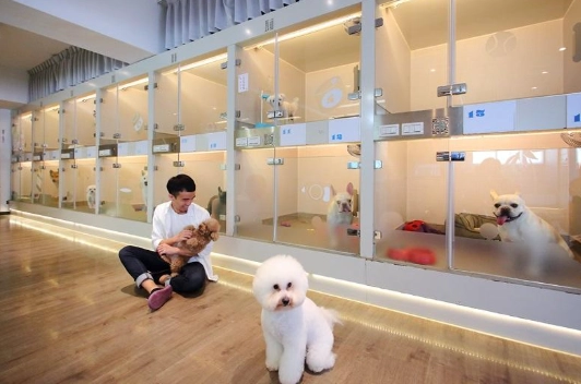寵物旅館標準