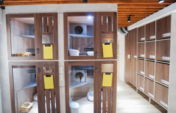 新竹寵物住宿 新竹寵物住宿