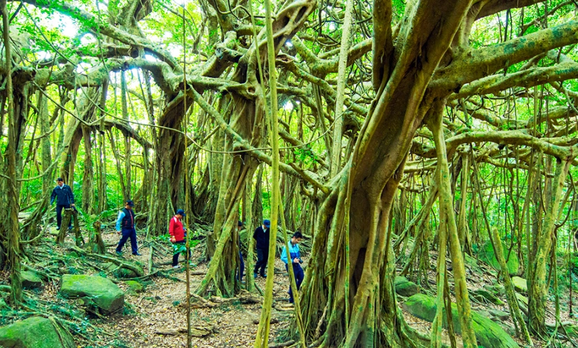 森林遊樂區推薦 森林遊樂區推薦