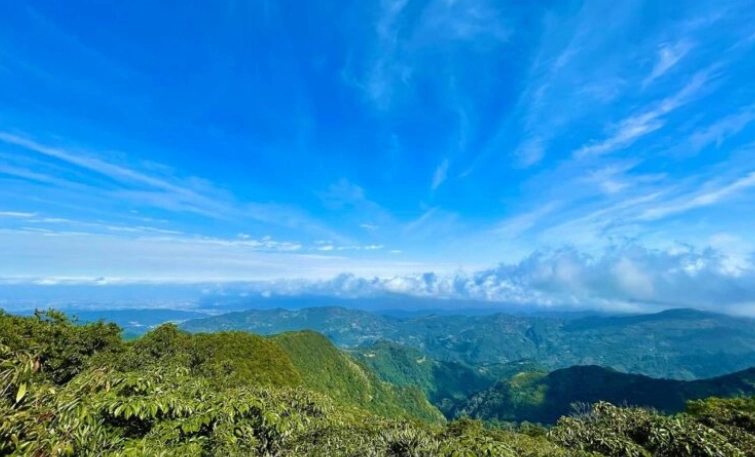 森林遊樂區門票 森林遊樂區門票
