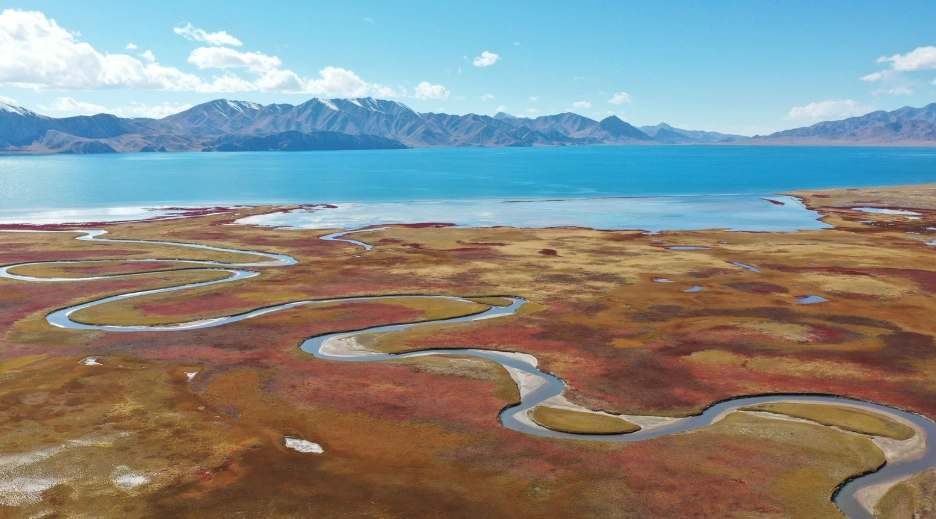 森林遊樂區與國家公園比較 森林遊樂區與國家公園比較