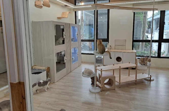 寵物寄宿家庭推薦 寵物寄宿家庭推薦