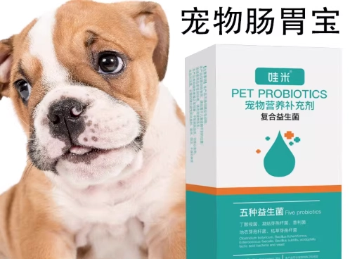 狗腸胃保健 狗腸胃保健