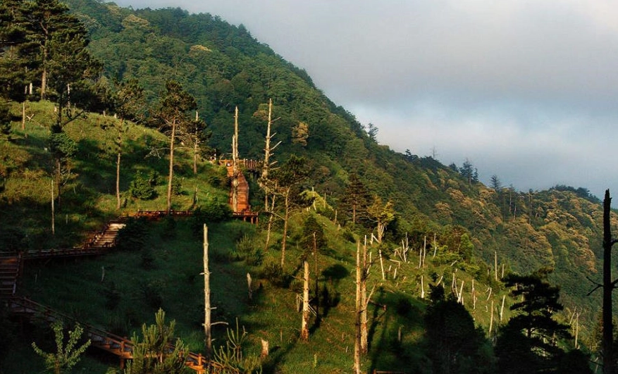 國家森林遊樂區介紹 國家森林遊樂區介紹