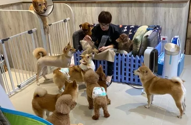 桃園寵物旅館推薦