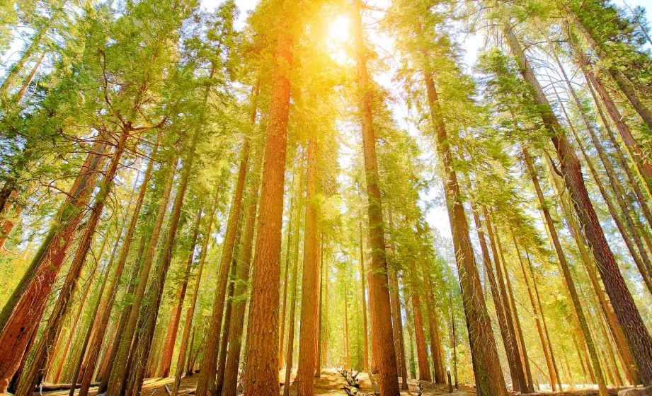 台灣戶外景點選擇 台灣戶外景點選擇