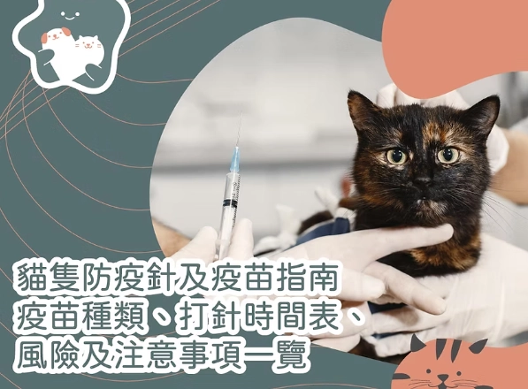 貓瘟疫苗副作用