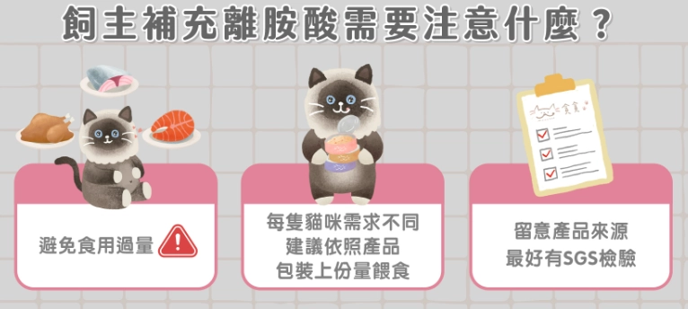 貓離胺酸餵食方法 貓離胺酸餵食方法