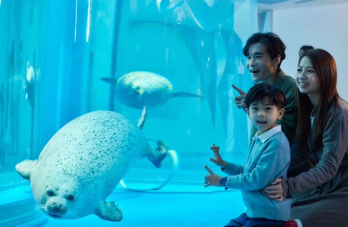 八景島水族館 門票