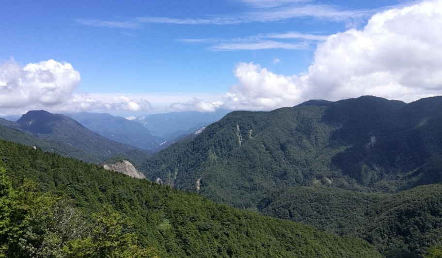 森林遊樂區推薦 森林遊樂區推薦