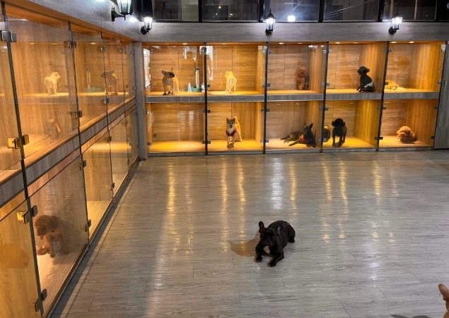 桃園寵物旅館推薦