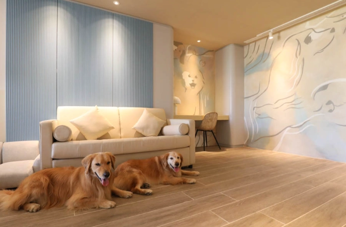 寵物友善飯店台灣 寵物友善飯店台灣